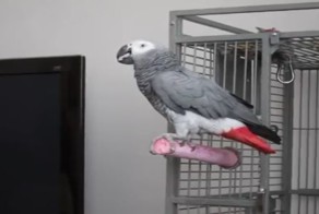 Меня зовут Бонд. Джеймс Бонд