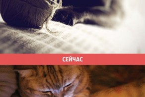 10 картинок о том, как изменился мир