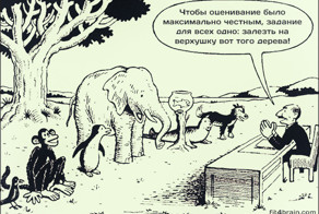 Современная система образования одним изображением