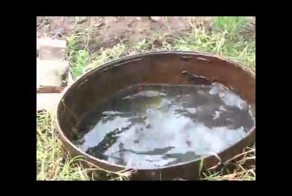 Смешние приколы