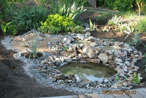 Красота своими руками 