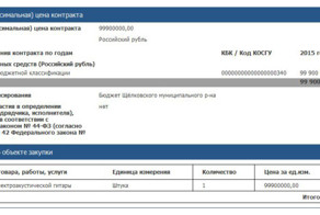 На сайте госзакупок появилось объявление о покупке гитары за 100 млн рублей