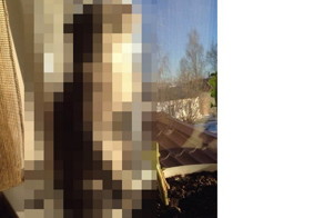 Он увидел солнце!