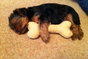 Фотоподборка