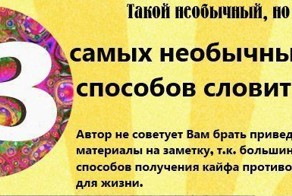 13 самых необычных в мире способов словит кайф