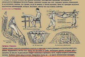 Прикольные фото и картинки от zubrilov за 25.02.2013 №147061