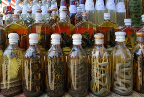 10 странных блюд со всего мира