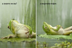 Ну и как стать пофигистом