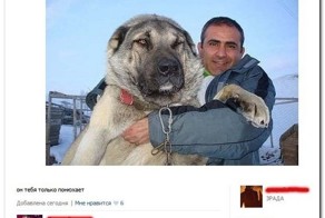Смешные комментарии из социальных сетей 20.03.15
