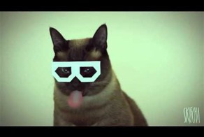 Дабстеп Котяра и породии на него