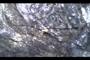 Паучье логово