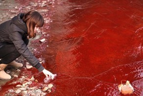 Загрязнение воды в Китае (8 фото)