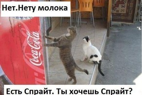 Фотоприкол