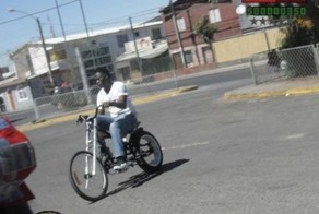 Фотоприкол недели