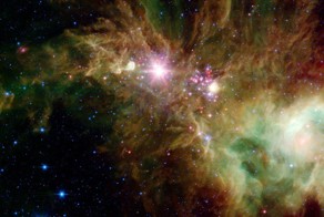 Интересные факты о звездах