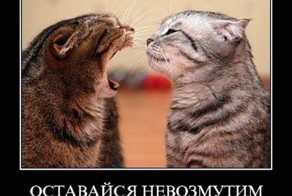 Осторожно! Баян!)