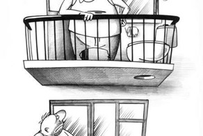 Фотоподборка