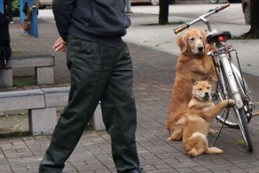 Прикольные фото и картинки от zubrilov за 27.02.2013 №147314