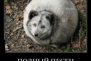 Визит песца в Снежную королеву