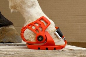 Современные подковы для лошадей