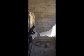 История человеческой глупости глазами очевидца