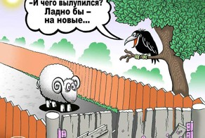 Вся суть баянов на Фишках