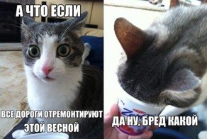 Подборка автоприколов. Часть 208