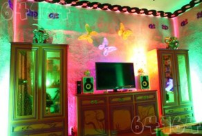 Кислотный дом