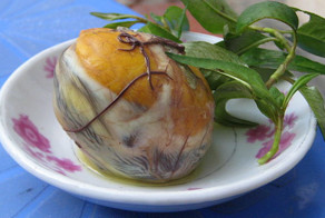 11 специфических блюд мира