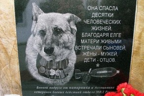 Памятник овчарке