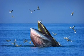 Прикольные фото