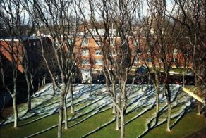 Шикарное фото