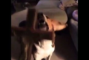  Изгнание нечистого 