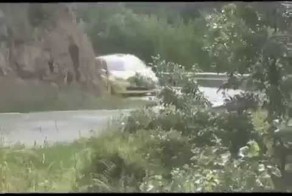 Заяц догоняет раллийное авто