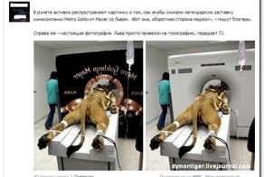 Смешные комментарии из социальных сетей 24.03.15
