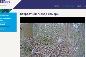 Жизнь продолжается