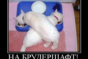 Забавно
