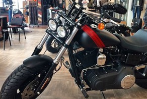 FAT BOB