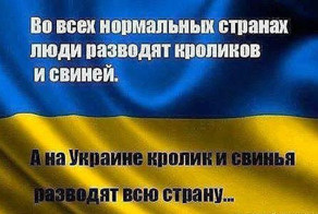 &quot;Мыздобулы&quot; в картинках. Смешные и не очень... Ч.22
