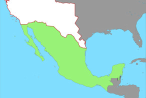 Чечня пригрозила США поставками оружия Мексике