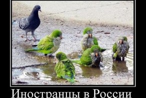 Чего ни в коем случае нельзя делать в России