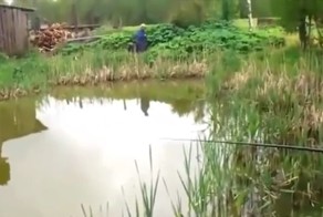 Как умные коты ходят на рыбалку 