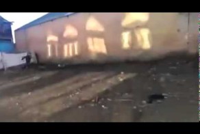 Настоящие патриоты