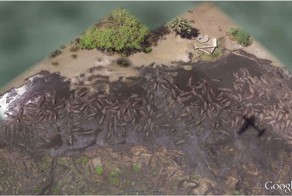 15 удивительных посланий и надписей найденных спутником Google Earth