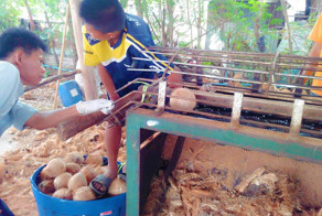 Не суй руки, куда не следует