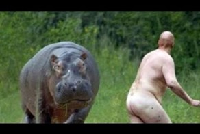 Жесткий угар и нелепые неудачи