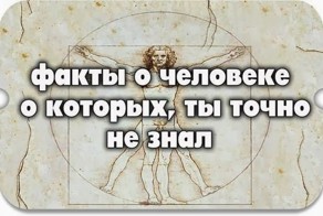 10 интересных фактов о человеке