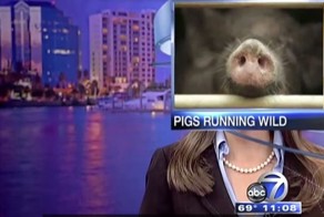 Лучшие неудачи репортеров за всю историю YouTube