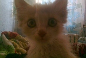 Когда я посмотрела в его глаза