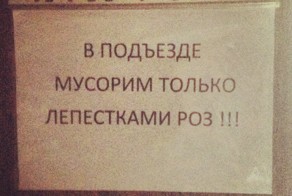 Шедевры объявлений наших подъездов